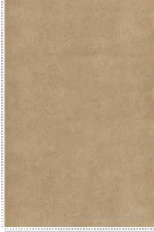 Populaire Papier peint Uni Mur la Chaux camel beige mordoré - Sentier des Dunes de Casadéco Réf. SENT88091328