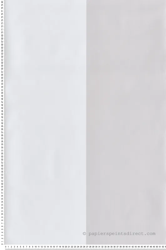 Super Prix Papier peint Rayure Extra Large gris clair - Jeux de Rayures 3 de Lutèce Réf. LTC-G68078