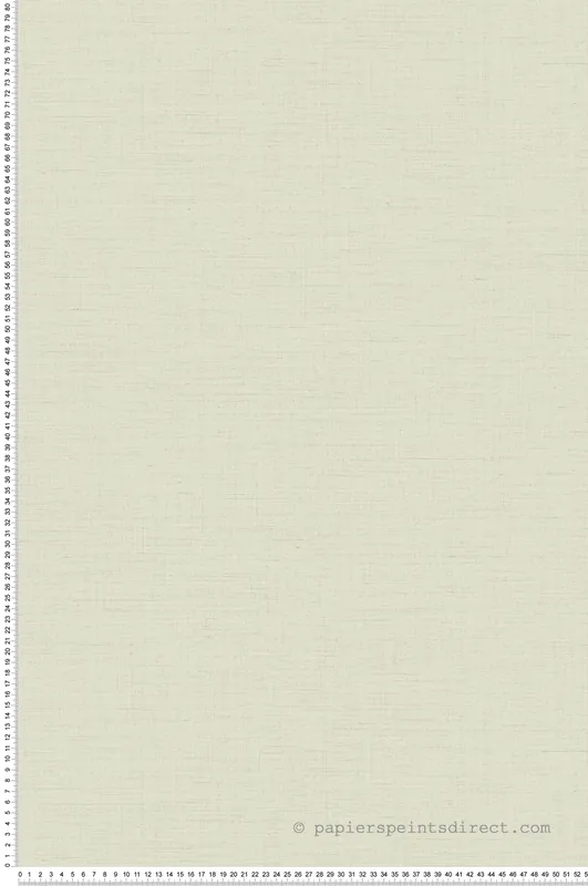 Papier peint Faux Uni Pointillé Smith vert amande - Carnaby Street de Casadéco Réf. CARN200567809 Offre Limitée