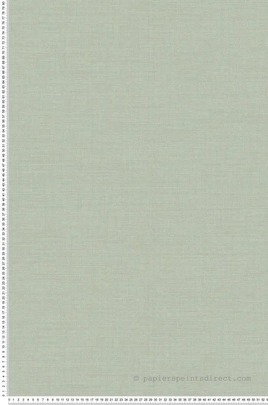 Papier peint Faux Uni Pointillé Smith vert doux - Carnaby Street de Casadéco Réf. CARN200567238 Vente Directe