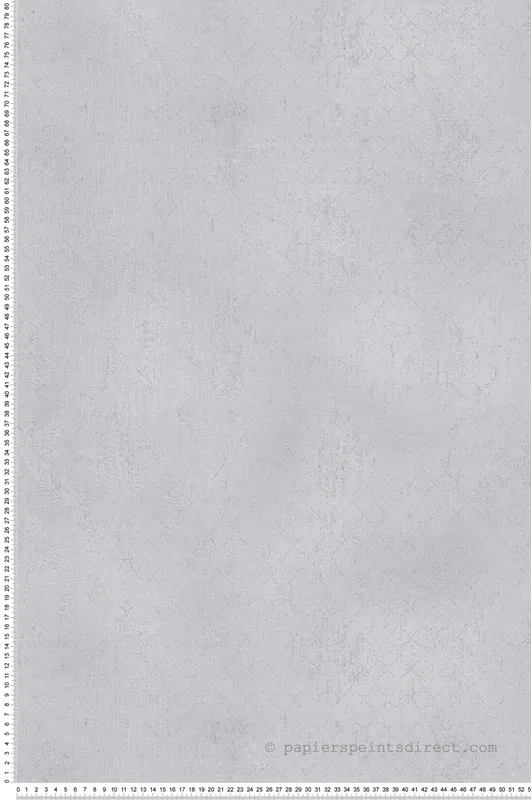 Acheter Direct Papier peint Baroque Chic Versailles gris argenté - Metropolitan Stories 4 Hot Spots d‘A.S. Création Réf. AS-786721