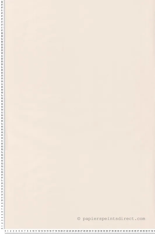 Acheter En Ligne Papier peint Uni beige sable - Once Upon A Time 2 de Casadéco Réf. OUTD69861303