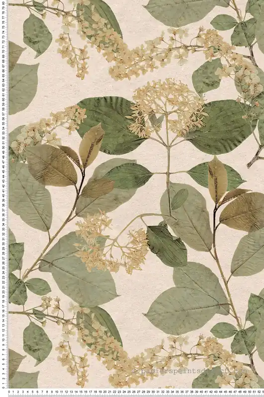 Papier peint Feuille Branchage Aplat vert beige - Herbier de Montecolino Réf. MC-HE27230 Prix Cassé