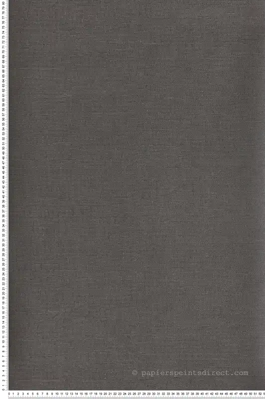 Quantité Limitée Papier peint Faux Uni Lin Denia noir anthracite - Mysa de Masureel Réf. MAS-RTS504
