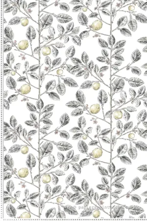 Papier peint Citron Graphique Limoncello gris jaune citrine - Toiles de York (Initiales) Réf. INI-RT7912 Offre Spéciale