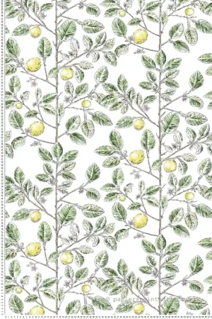 Papier peint Citron Graphique Limoncello vert jaune - Toiles de York (Initiales) Réf. INI-RT7911 Réduction