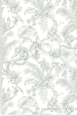 Acheter Direct Papier peint Singe Toucan Tropical vert cyprès - Toiles de York (Initiales) Réf. INI-RT7842