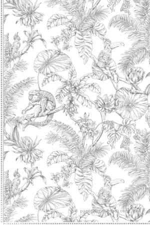 Papier peint Singe Toucan Tropical noir et blanc - Toiles de York (Initiales) Réf. INI-RT7841 Seulement Aujourd'hui