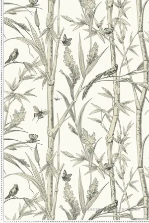 Papier peint Bambou Papillon beige mascarpone gris - Toiles de York (Initiales) Réf. INI-RT7836 Vente Directe