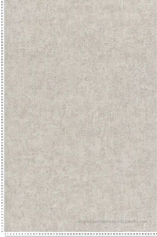 Papier peint Faux Uni Texturé gris béton irisé - Maya de Montecolino Réf. MC-BZ1005 Achetez Aujourd'hui