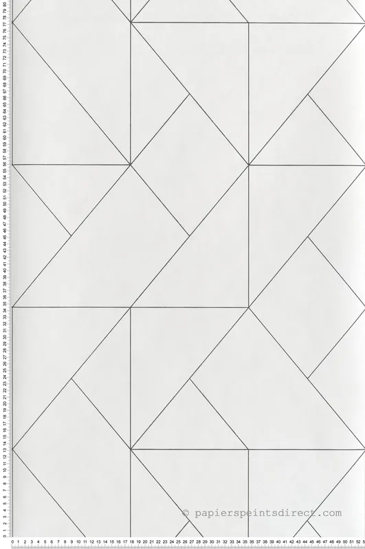 Papier peint Figure Subtilité blanc cassé noir - Alchimie de Casadéco Réf. ALMI89951904 Super Prix