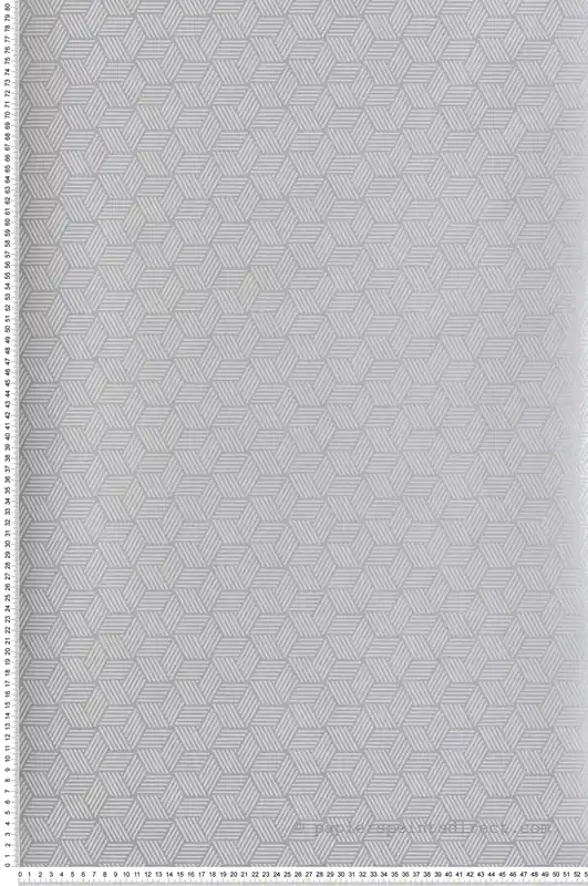 Papier peint Cube 3D Connexions Métallisé gris argenté - Alchimie de Casadéco Réf. ALMI89949180 Livraison Express