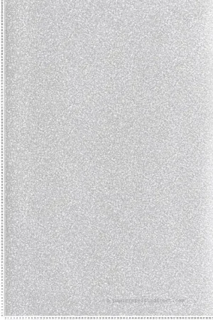 Papier peint Terrazzo Vintage Terraco gris clair argenté - Rock de Masureel Réf. MAS-ROC008 Top Vente