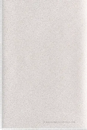 Papier peint Terrazzo Vintage Terraco beige métallisé - Rock de Masureel Réf. MAS-ROC007 Usine Directe