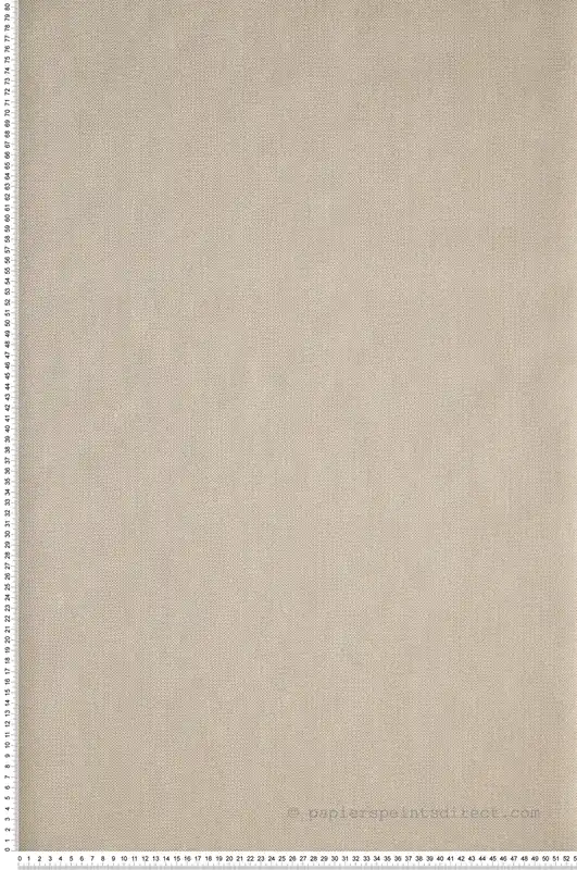 Solde Papier peint Uni Natté Métallisé écru/doré - Moonlight 2 de Casélio Réf. MLGT101570026