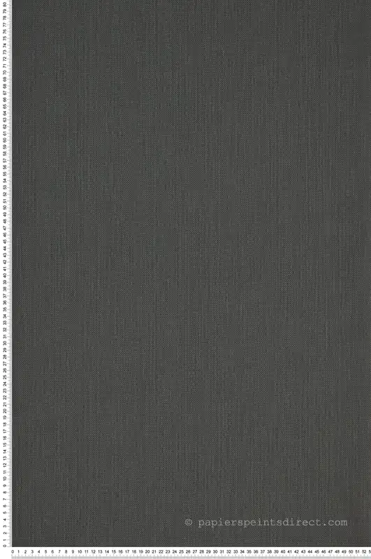Top Vente Papier peint Uni Natté gris anthracite - Moonlight 2 de Casélio Réf. MLGT101569582