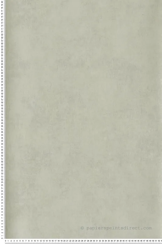 Jusqu'à Épuisement Des Stocks Papier peint Faux Uni Métallisé Stone vert amande - Twenties de Casadéco Réf. TWNT80837227