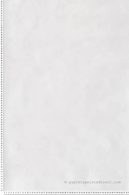 Marque Papier peint Faux Uni Métallisé Stone blanc - Twenties de Casadéco Réf. TWNT80830101