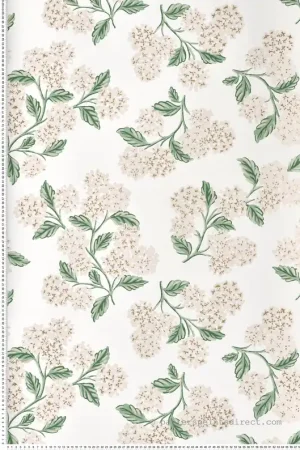 Dernier Modèle Papier peint Fleur Hydrangea beige rosé doré - Rifle Paper Co. 2 de York (Initiales) Réf. INI-RP7393