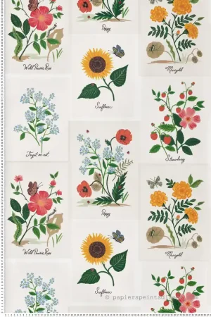Papier peint Affiche Herbier multicolore - Rifle Paper Co. 2 de York (Initiales) Réf. INI-RP7334 Expédié Aujourd'hui