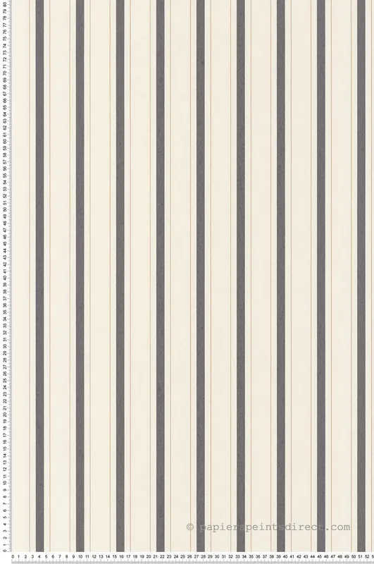 Meilleure Vente Papier peint Rayure 18 ème Baroque noir et doré - Les Rayures de Casadéco Réf. RAYS81579602