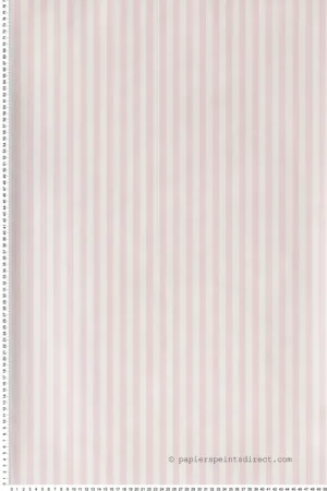 Must-Have Papier peint Rayures rose - Les Rayures de Casadéco Réf. RAYS29884109