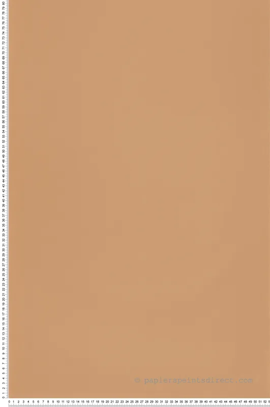 Expédié Aujourd'hui Papier peint Uni camel - Once Upon A Time de Casadéco Réf. OUAT69862050