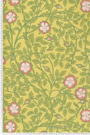 Papier peint Fleurs Briar Rose Indian Yellow - National Trust Papers 3 de Little Greene Réf. 0263BRINDIA Nouveauté
