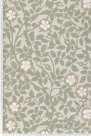 Promotion Papier peint Fleurs Briar Rose Green Mist - National Trust Papers 3 de Little Greene Réf. 0263BRGMIST