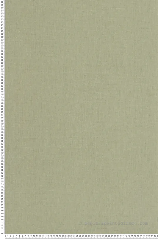 Achetez Aujourd'hui Papier peint Uni Lin vert lichen - L‘Epopée de Casélio Réf. EPO100607312