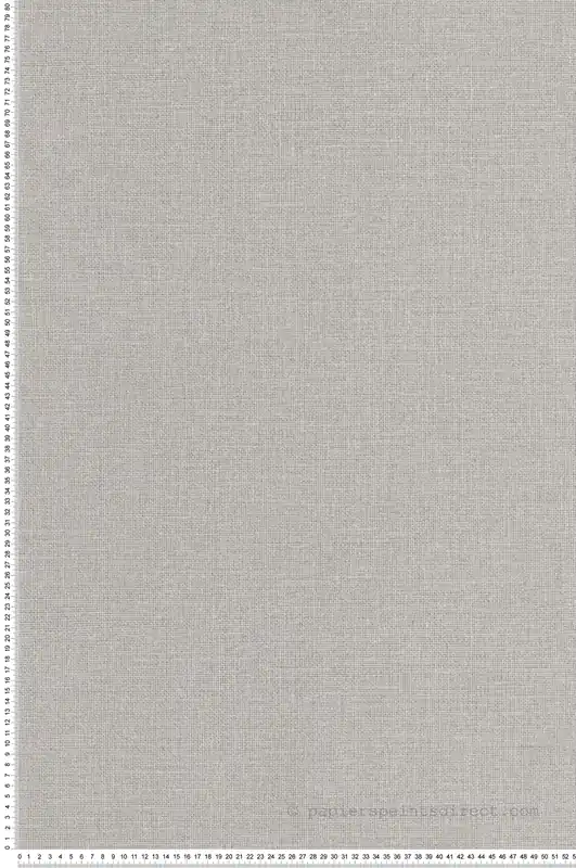 Acheter En Ligne Papier peint Effet Toile de Jute gris clair - Jute de Casélio Réf. JTE104019156