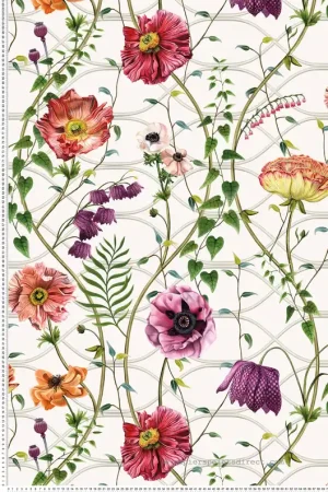 Papier peint Lianes et Fleurs blanc - Lamorran d‘Osborne & Little Réf. OSB-W7684-01 Offre Du Jour