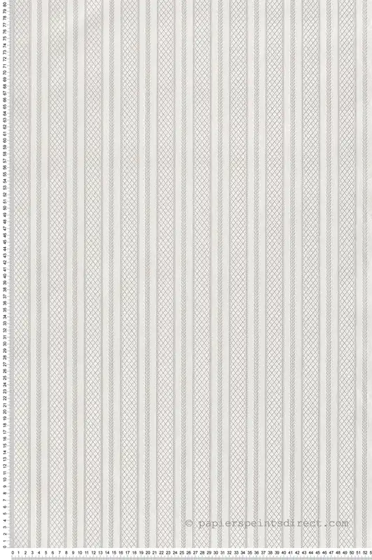 Bon Plan Papier peint Rayure Feuillage Baroque argenté - Grand Classic de Montecolino Réf. MC-Z66848
