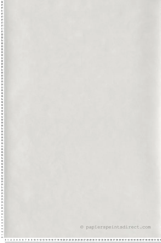 Expédié Aujourd'hui Papier peint Faux Uni Cotton Touch gris pale - Les Belles Toiles De Jouy de Casadéco Réf. LBTJ82381434