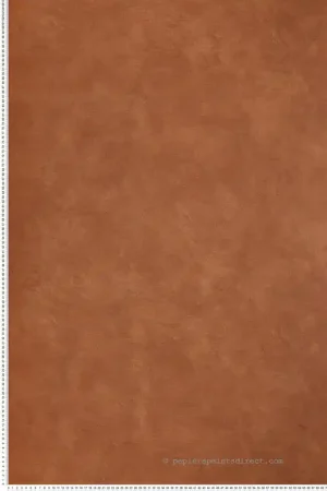 Achat Immédiat Papier peint Faux Uni Tissage terre de sienne - L‘Atelier de Casamance Réf. CAS-75492752