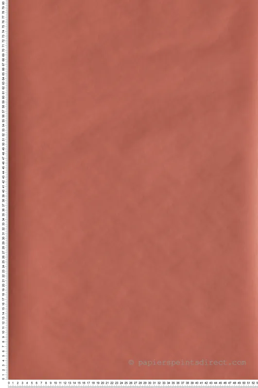 Achat Immédiat Papier peint Uni terracotta - L‘odyssée de Casélio Réf. OYS69863218