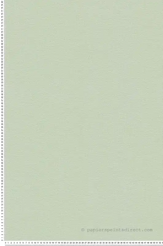 Achat Immédiat Papier peint Uni toile expansé vert pastel - Greenery d‘AS Création Réf. SP15008