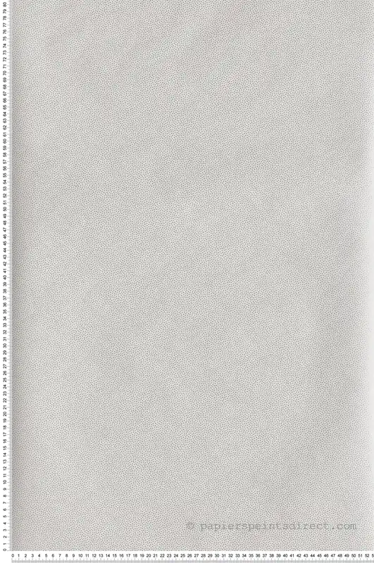 Acheter Direct Papier peint Goma blanc et argent - Girl Power de Casélio Réf. GPR100400101