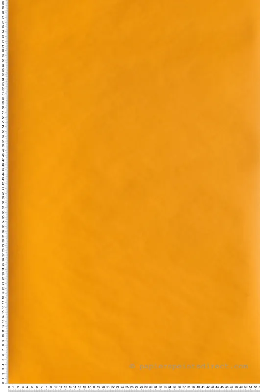 Achetez Aujourd'hui Papier peint Uni jaune orangé - Girl Power de Casélio Réf. GPR69862734