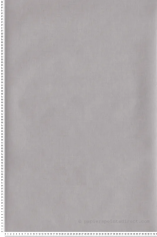 Acheter Direct Papier peint Uni gris souris - Hygge de Casélio HYG100601818