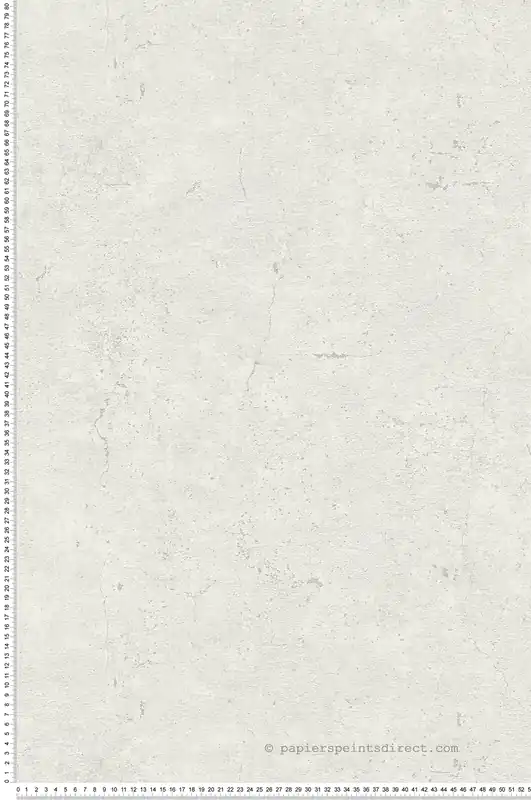 Prix Réduit Papier peint Béton gris clair - Elements 2 d‘A.S. Création Réf. AS-369113