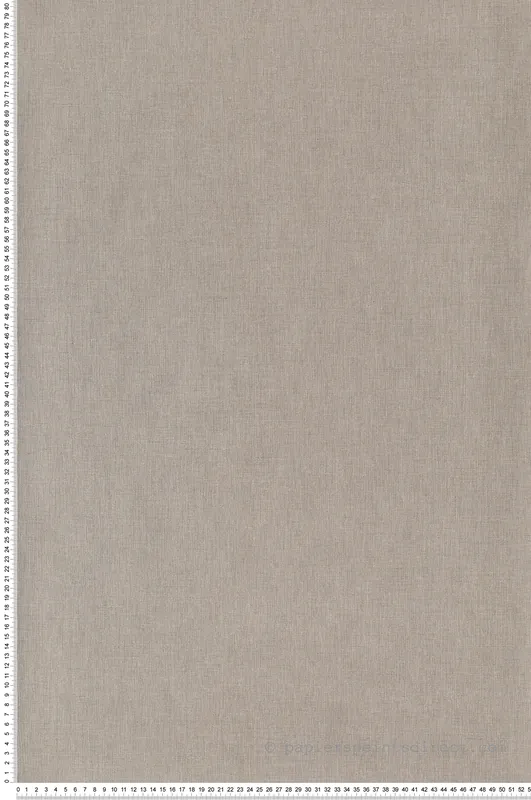 Vente Directe Papier peint Uni Taupe gris - Linen de Casélio Réf. INN68521999