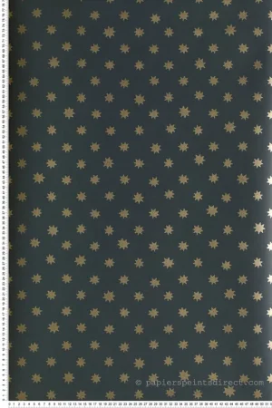 Meilleure Vente Papier peint Lower George St. Comet - London Wallpapers V de Little Greene Réf. 0256LGCOMET