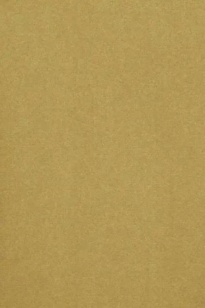 Seulement Aujourd'hui Moquette Velours en Polyamide usage intensif Better- Jaune 330