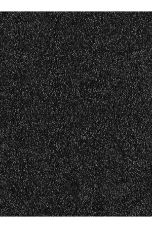 Promotion Saisonnière Moquette Velours Epais en Fibre Ecologique - Fame - coloris Noir