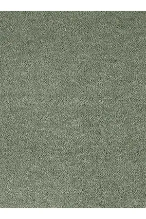 Expédié Aujourd'hui Moquette Velours Epais Extra douce Plaisir - Coloris Peuplier