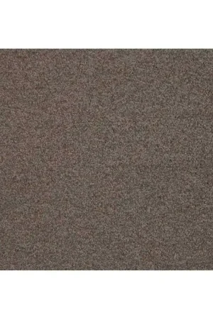 Expédition Rapide Moquette Velours semi épaisse en Fibre Écologique Lounge - Coloris Malt Chocolat