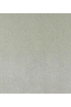 Prix Bas Moquette Velours Epais Extra Douce- Cannes- Coloris Silver