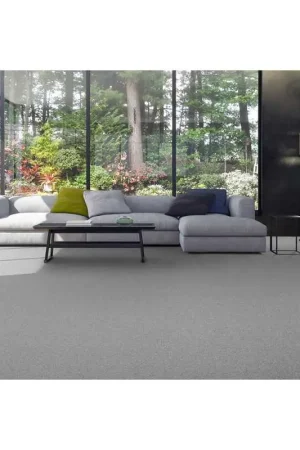 Moquette Velours Epais Écologique - Romance - Coloris Gris Argent Authentique