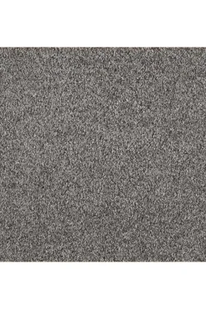 Dernière Chance Moquette Velours Frisé- Euphoria- Coloris Cendre